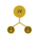 JV / Launch Management